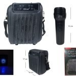 PARLANTE BT 4PLG CON MICROFONO (KTS-1916)