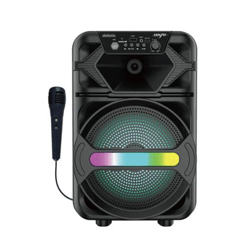 PARLANTE CON BT Y MICROFONO 8 PLG RP-8102