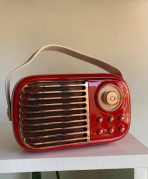 RADIO VINTAGE KARAOKE (ROJA)