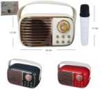 RADIO VINTAGE KARAOKE (ROJA)